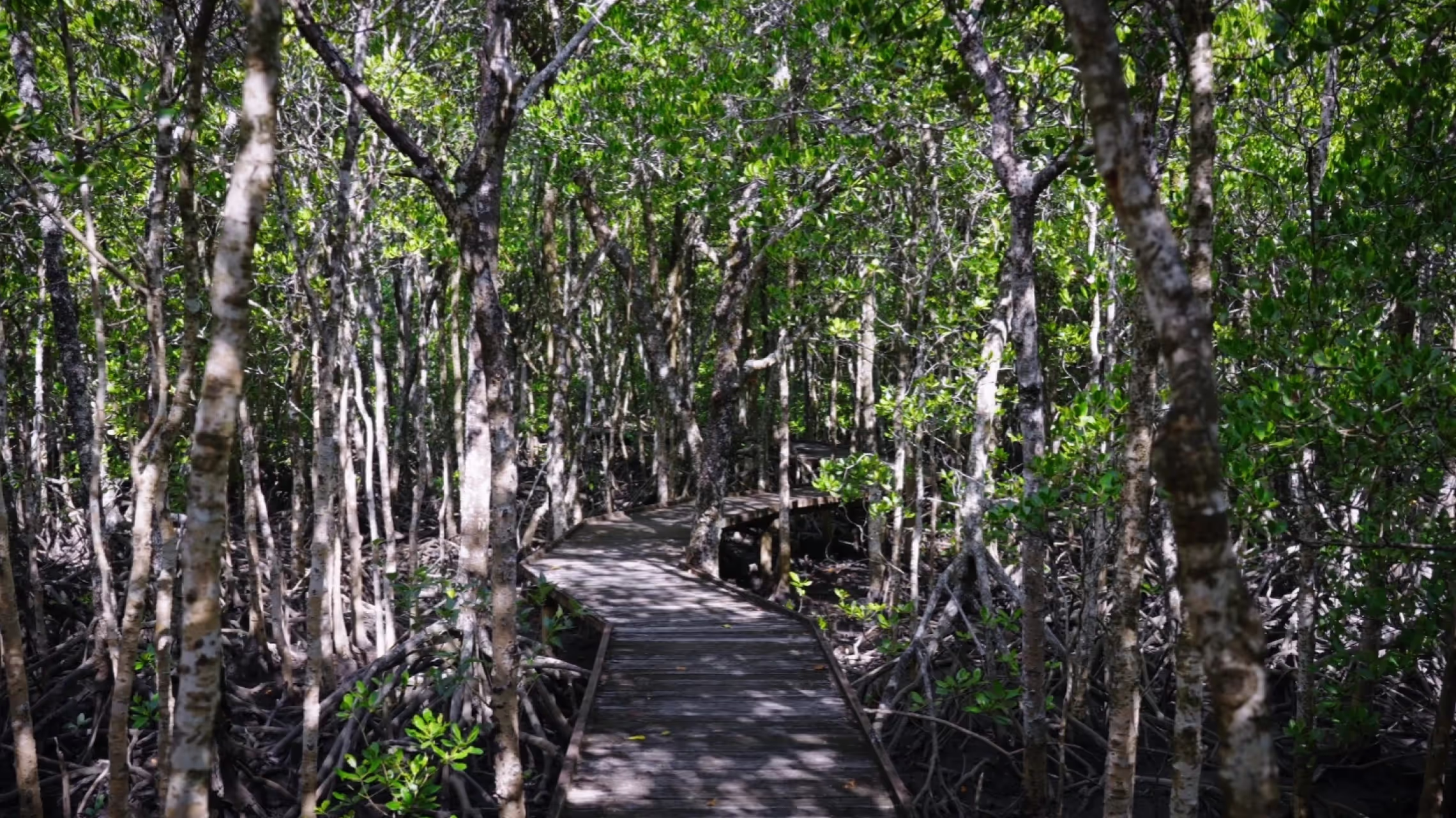 Jack Barnes Boardwalk cinematography still from the video