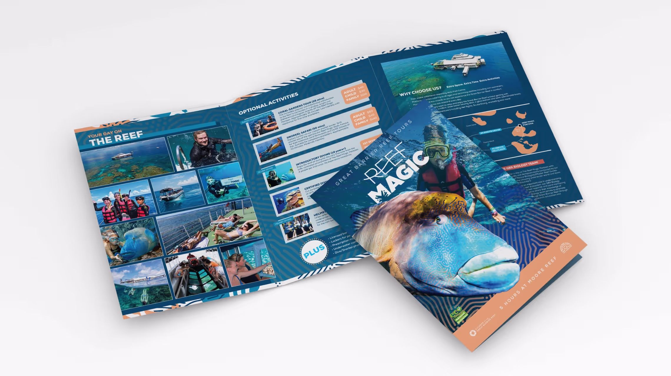 Reef Magic designed marketing material
