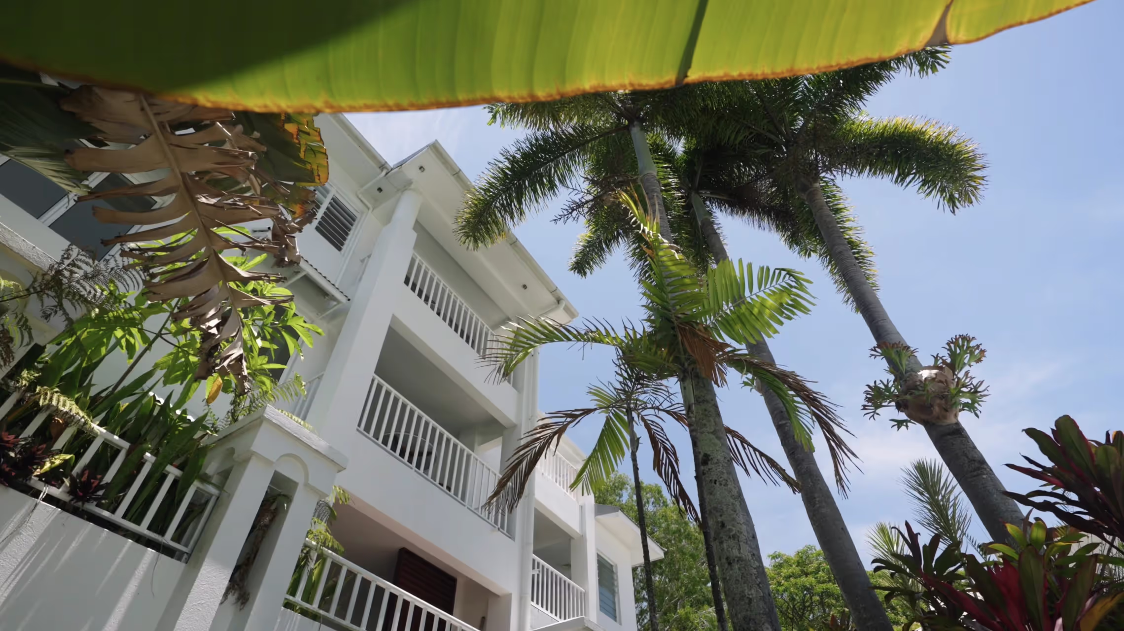 The Reef House