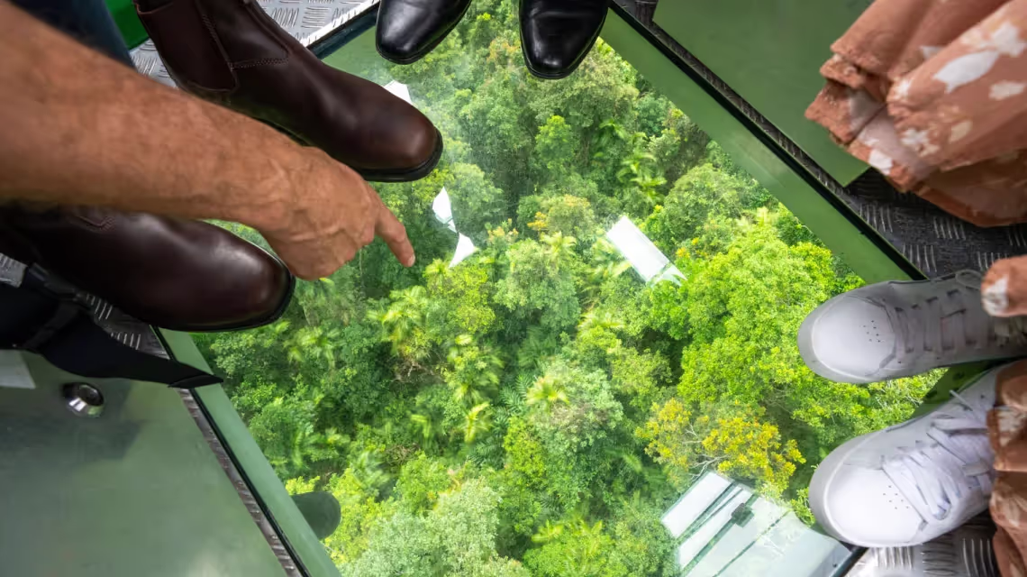 Skyrail Rainforest Cableway commercial photography