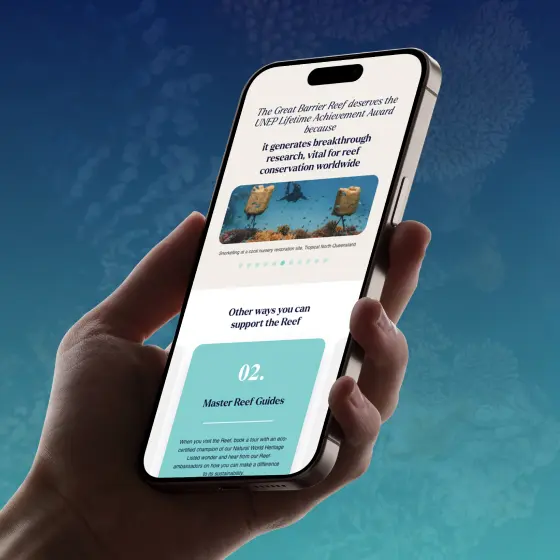 The Lifetime of Greatness Project website interface design