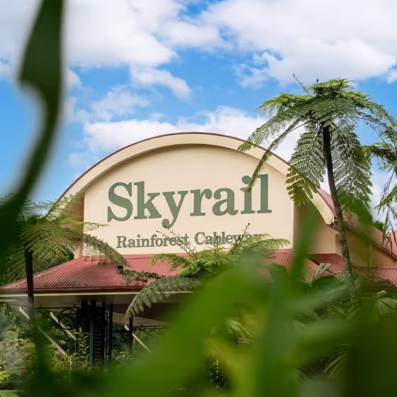 Skyrail Rainforest Cableway product photography