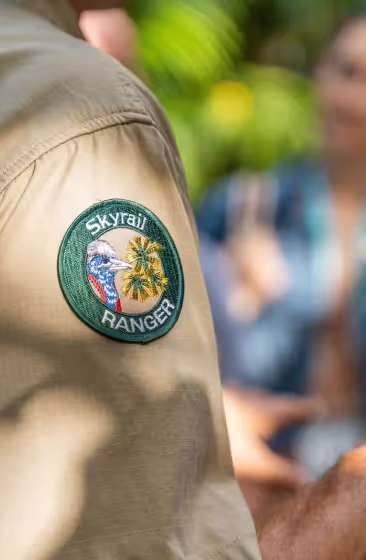 Skyrail Rainforest Cableway lifestyle photography