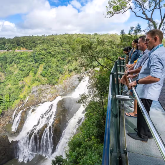 Skyrail Rainforest Cableway commercial photography