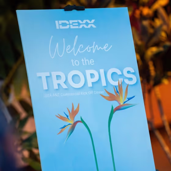 IDEXX photography for marketing