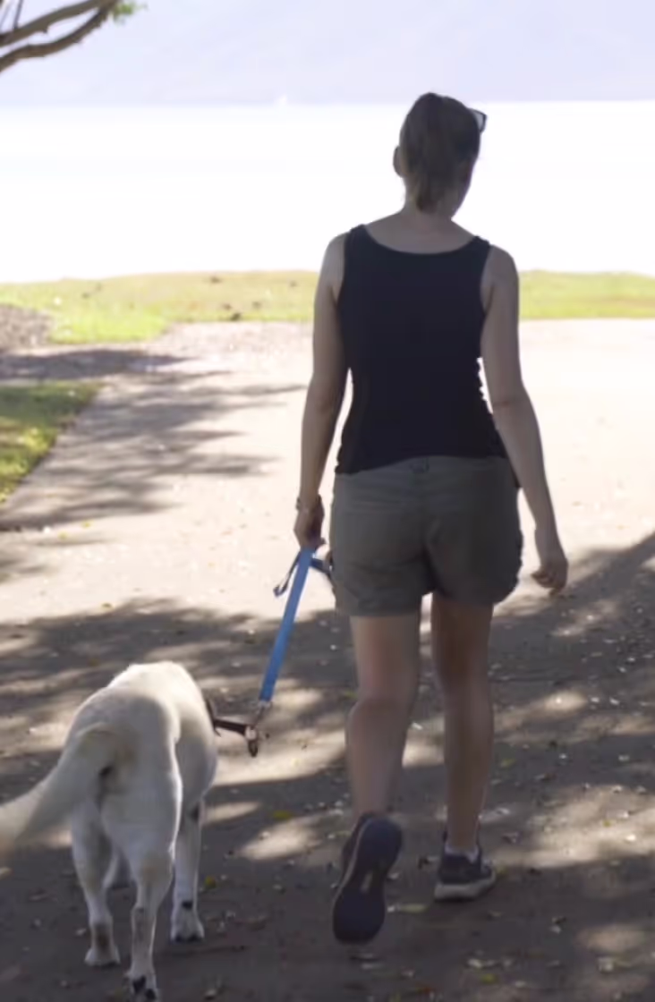 Wagsta on-location video production