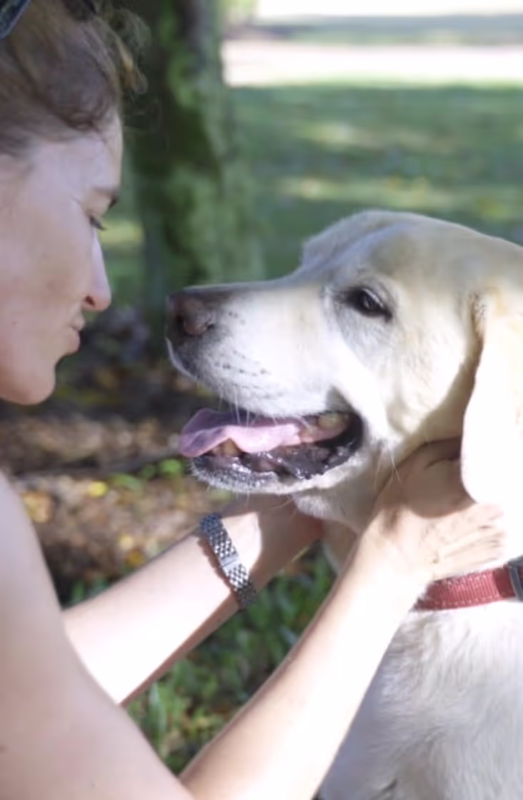 Wagsta video campaign still