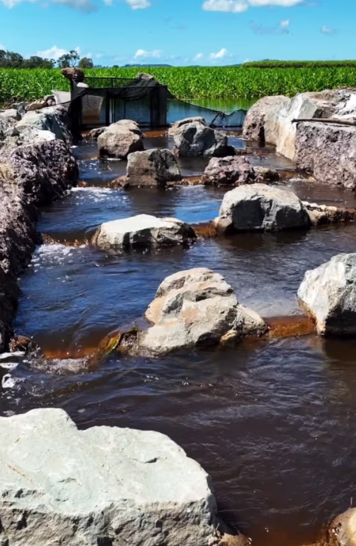 Terrain NRM frame from the video production
