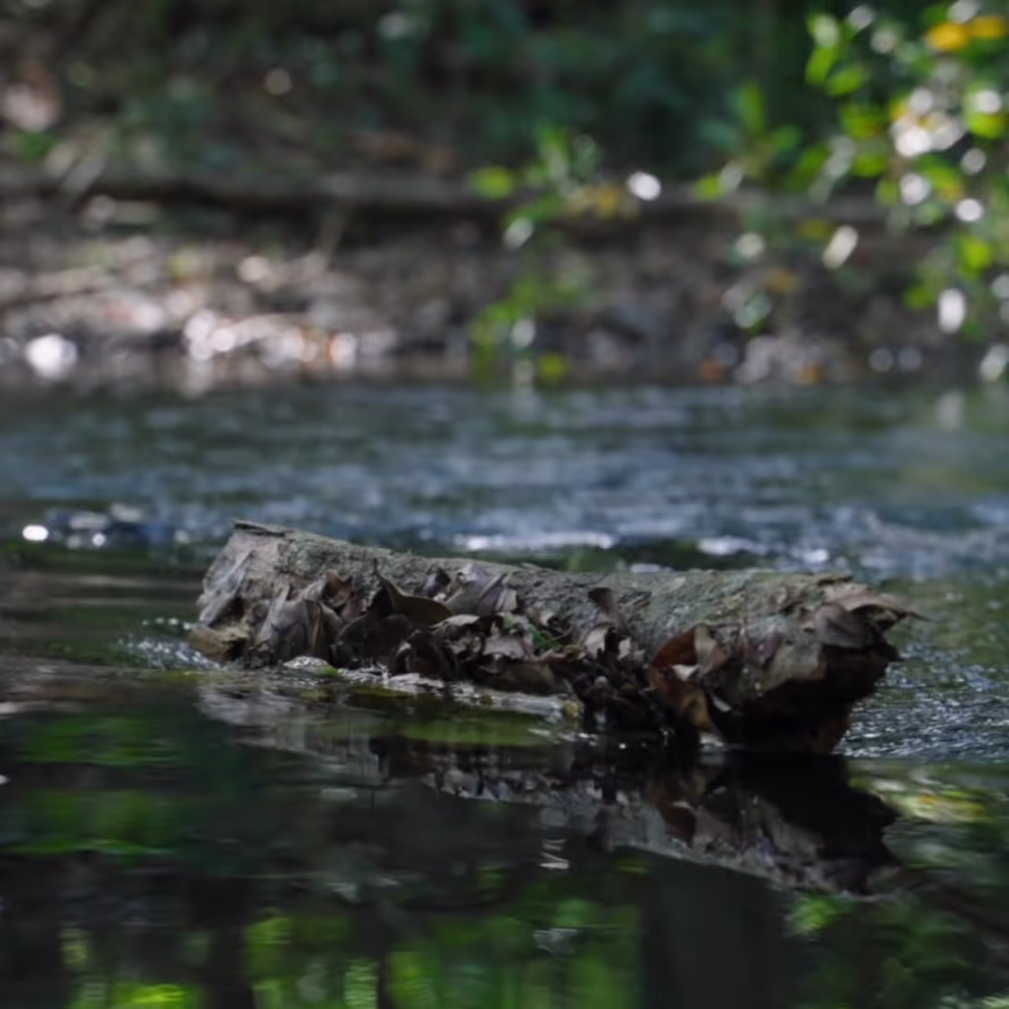 Terrain NRM video production