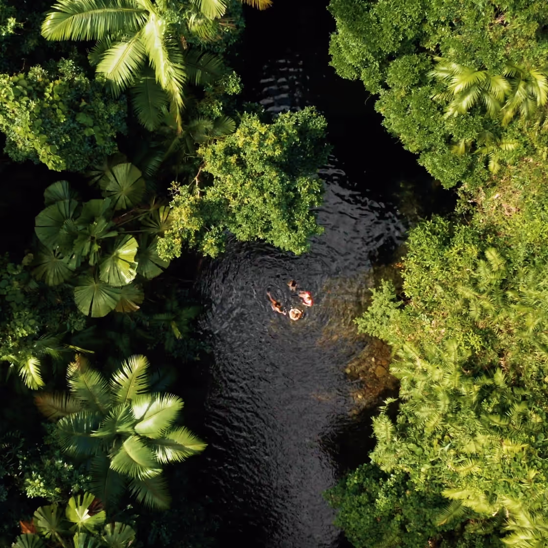 Jungle Tours video production still
