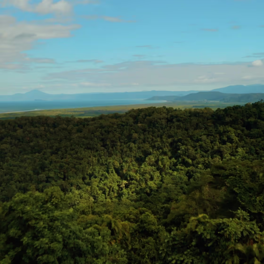 Jungle Tours commercial photography