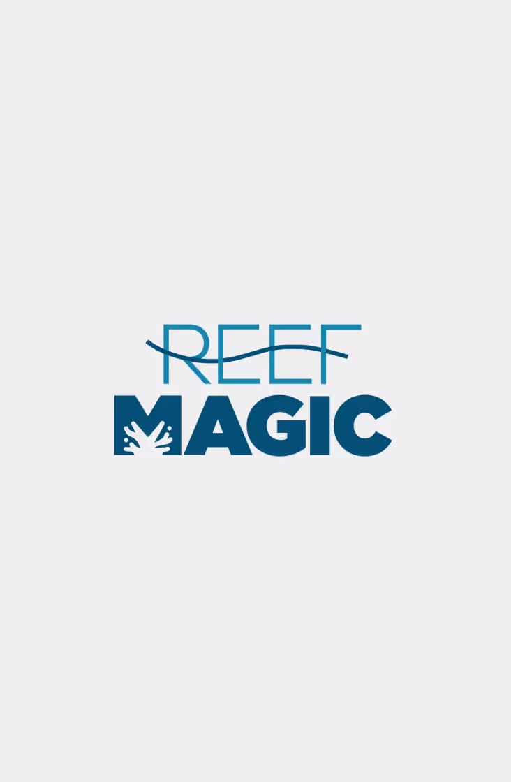 Reef Magic brand identity system