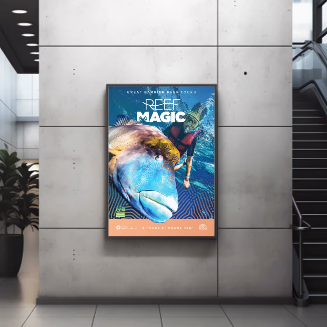Reef Magic logo and brand mark design