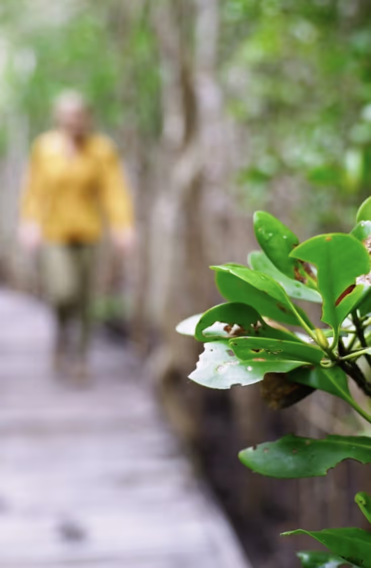 Jack Barnes Boardwalk on-location video production