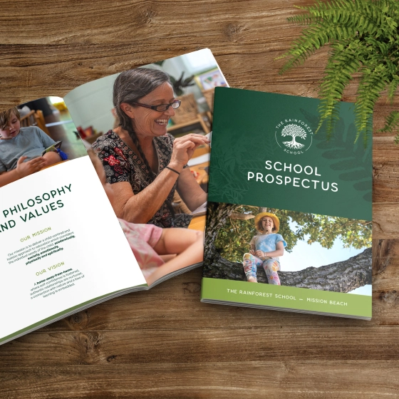 The Rainforest School brand identity design