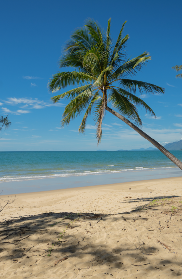 Tourism TNQ social content design