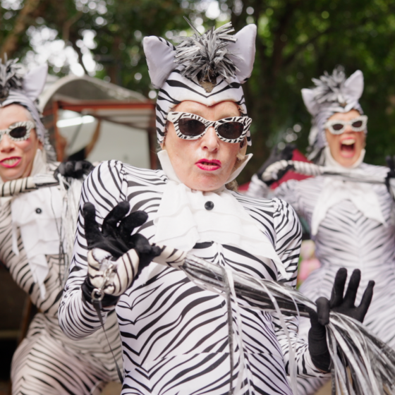 Cairns Festival video production