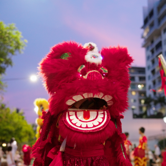 Cairns Festival on-location video production