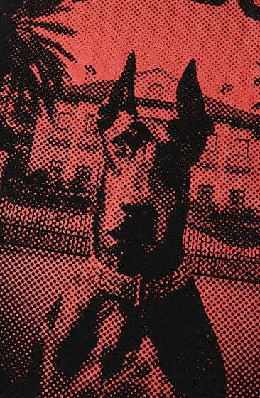 Geedup website page design